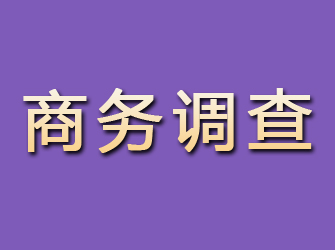 靖江商务调查